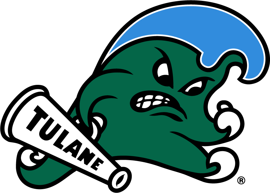 Tulane Green Wave 2017-Pres Primary Logo iron on transfers for clothing